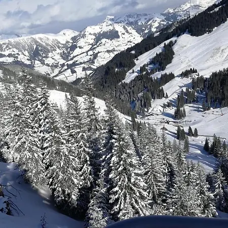 Cosy Westendorf