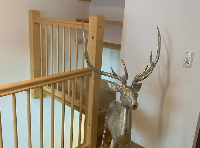 Cosy * وستندورف