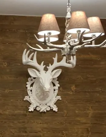 Cosy Apartamento Westendorf