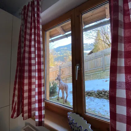 Cosy Apartamento